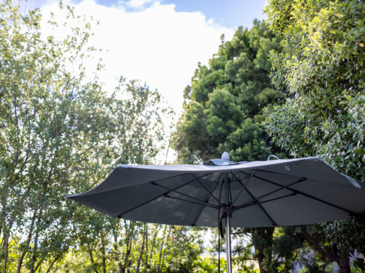 An open umbrella providing shade and cover among trees