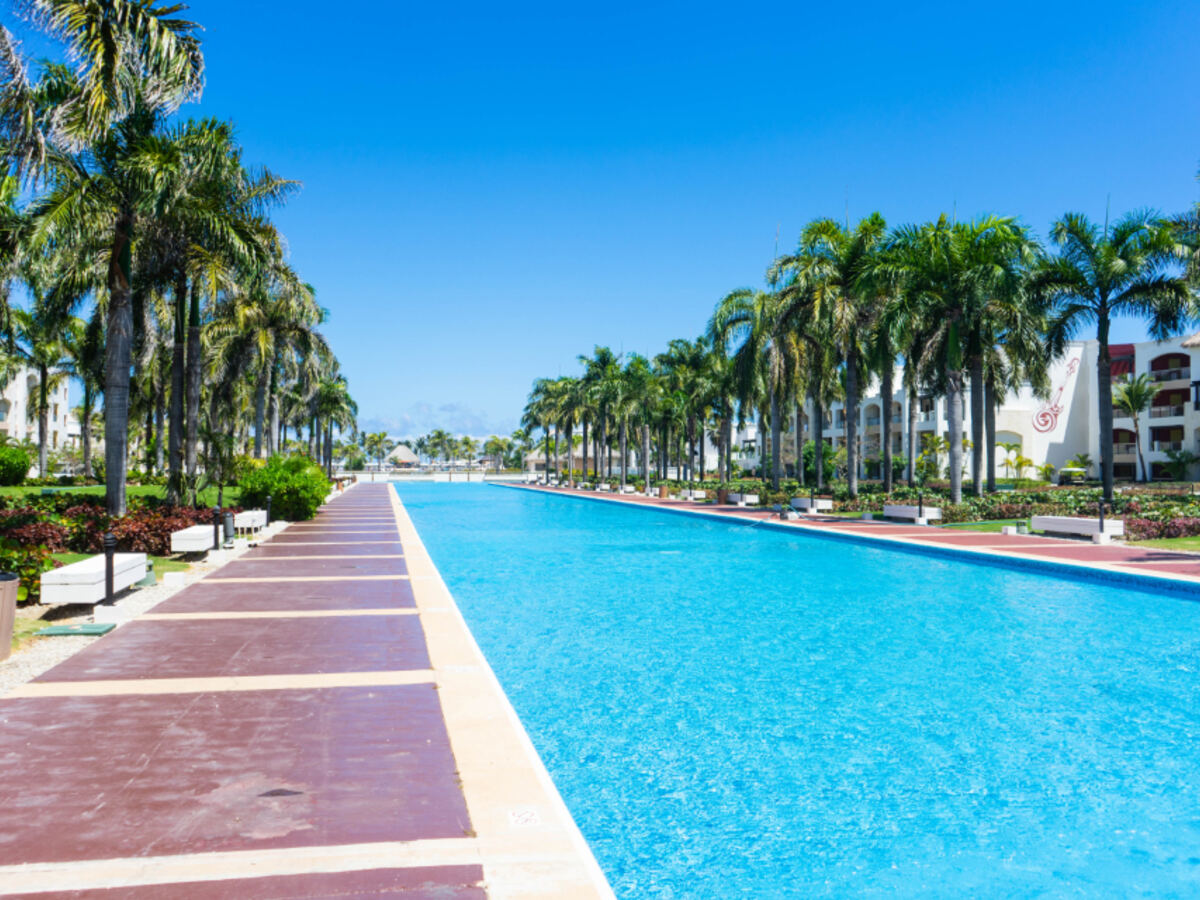 A resort pool lined with palm trees under a bright blue sky